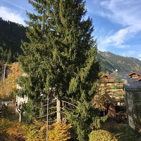 Apartamento Aster Chamonix Mont Blanc Exterior foto